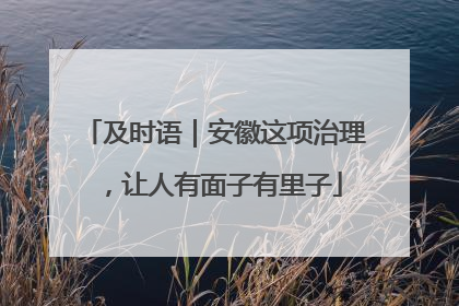 及时语｜安徽这项治理，让人有面子有里子