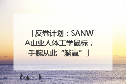 反卷计划：SANWA山业人体工学鼠标，手腕从此“躺赢”