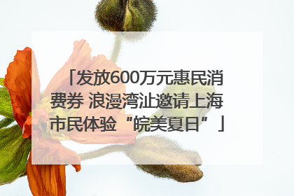 发放600万元惠民消费券 浪漫湾沚邀请上海市民体验“皖美夏日”