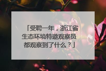 受聘一年，浙江省生态环境特邀观察员都观察到了什么？