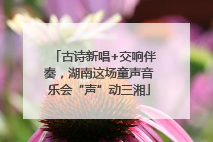 古诗新唱+交响伴奏，湖南这场童声音乐会“声”动三湘