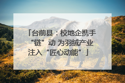台前县：校地企携手“链”动 为羽绒产业注入“匠心动能”
