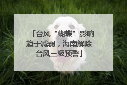 台风“蝴蝶”影响趋于减弱，海南解除台风三级预警