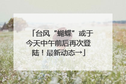 台风“蝴蝶”或于今天中午前后再次登陆！最新动态→