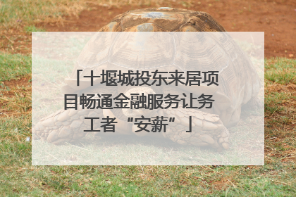 十堰城投东来居项目畅通金融服务让务工者“安薪”
