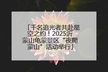 千名追光者共赴星空之约！2025沂蒙山龟蒙景区“夜爬蒙山”活动举行