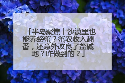 半岛聚焦丨沙漠里也能养螃蟹？蟹农收入翻番，还意外改良了盐碱地？咋做到的？