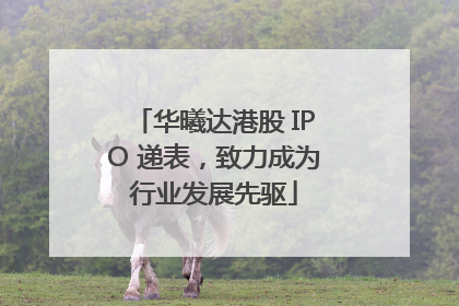 华曦达港股 IPO 递表，致力成为行业发展先驱