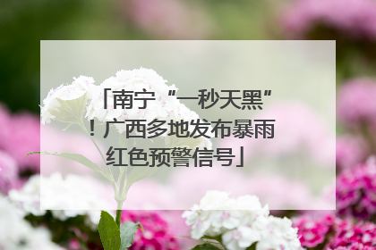 南宁“一秒天黑”！广西多地发布暴雨红色预警信号