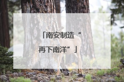 南安制造“再下南洋”