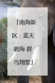 南海新区：蓝天碧海 群鸟翔集