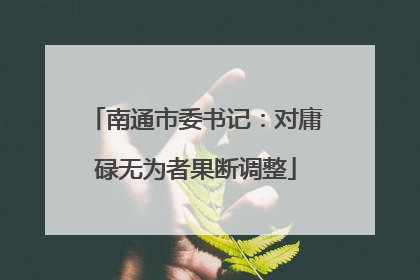 南通市委书记：对庸碌无为者果断调整
