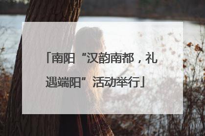 南阳“汉韵南都，礼遇端阳”活动举行