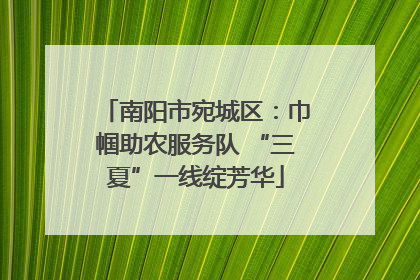南阳市宛城区：巾帼助农服务队 “三夏”一线绽芳华