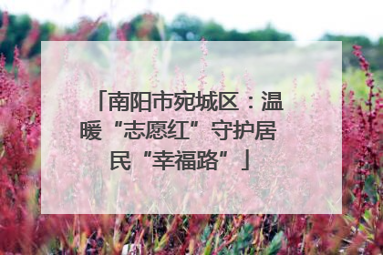 南阳市宛城区：温暖“志愿红”守护居民“幸福路”