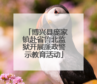 博兴县庞家镇赴省鲁北监狱开展廉政警示教育活动