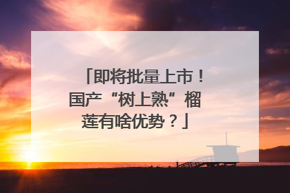 即将批量上市！国产“树上熟”榴莲有啥优势？