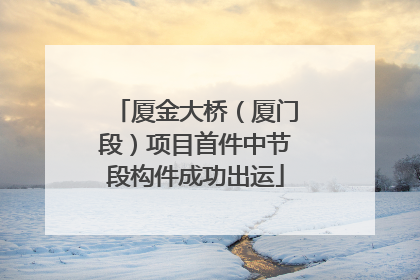 厦金大桥（厦门段）项目首件中节段构件成功出运