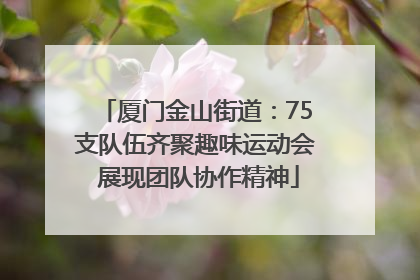 厦门金山街道：75支队伍齐聚趣味运动会 展现团队协作精神
