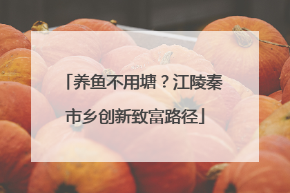 养鱼不用塘？江陵秦市乡创新致富路径