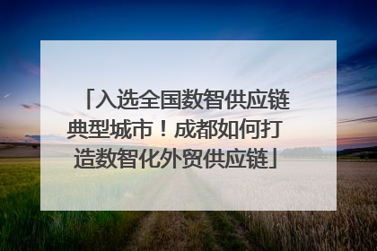 入选全国数智供应链典型城市！成都如何打造数智化外贸供应链