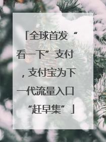 全球首发“看一下”支付，支付宝为下一代流量入口“赶早集”