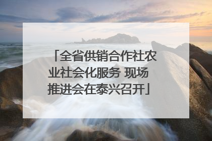 全省供销合作社农业社会化服务 现场推进会在泰兴召开
