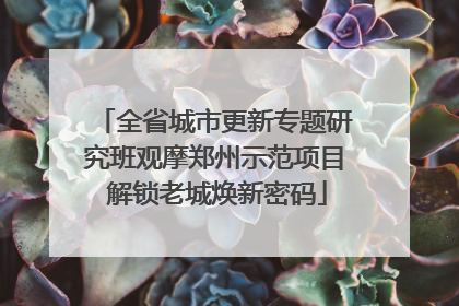 全省城市更新专题研究班观摩郑州示范项目 解锁老城焕新密码