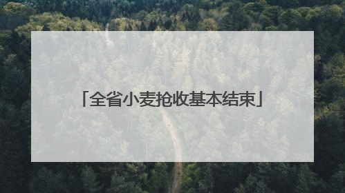 全省小麦抢收基本结束
