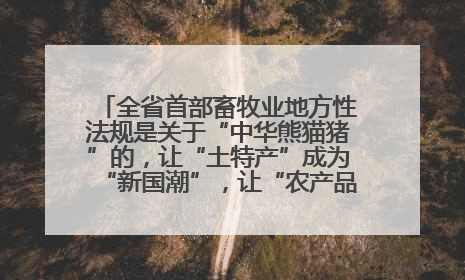 全省首部畜牧业地方性法规是关于“中华熊猫猪”的，让“土特产”成为“新国潮”，让“农产品”升格为“城市IP”