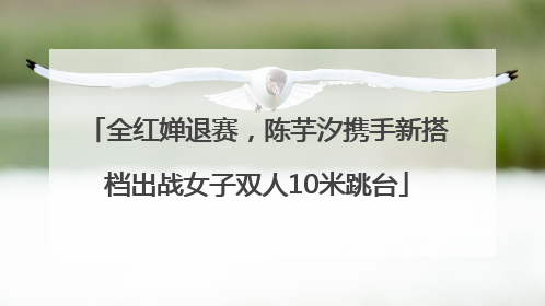 全红婵退赛，陈芋汐携手新搭档出战女子双人10米跳台