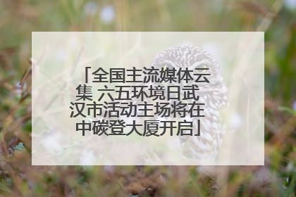 全国主流媒体云集 六五环境日武汉市活动主场将在中碳登大厦开启