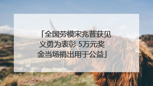 全国劳模宋兆普获见义勇为表彰 5万元奖金当场捐出用于公益