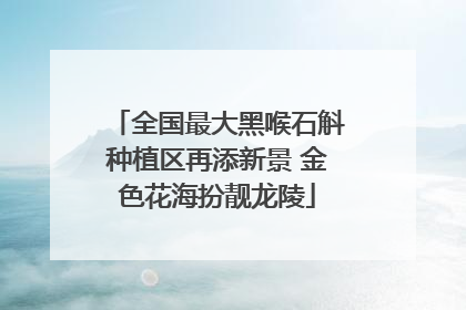 全国最大黑喉石斛种植区再添新景 金色花海扮靓龙陵