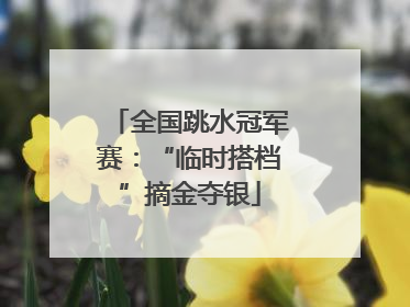 全国跳水冠军赛：“临时搭档”摘金夺银