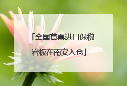 全国首票进口保税岩板在南安入仓