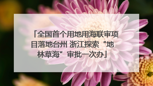 全国首个用地用海联审项目落地台州 浙江探索“地林草海”审批一次办