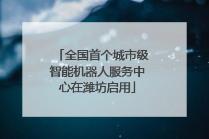 全国首个城市级智能机器人服务中心在潍坊启用