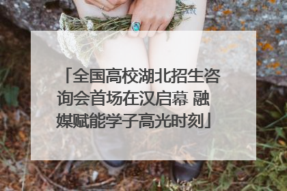全国高校湖北招生咨询会首场在汉启幕 融媒赋能学子高光时刻
