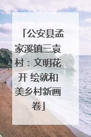公安县孟家溪镇三袁村：文明花开 绘就和美乡村新画卷