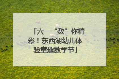 六一“数”你精彩！东西湖幼儿体验童趣数学节