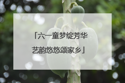 六一童梦绽芳华 艺韵悠悠颂家乡