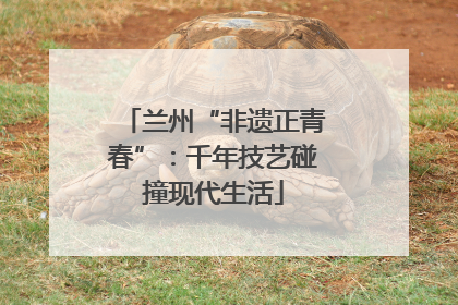 兰州“非遗正青春”：千年技艺碰撞现代生活
