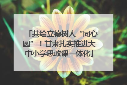 共绘立德树人“同心圆”！甘肃扎实推进大中小学思政课一体化