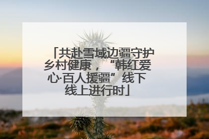 共赴雪域边疆守护乡村健康，“韩红爱心·百人援疆”线下线上进行时