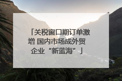 关税窗口期订单激增 国内市场成外贸企业“新蓝海”