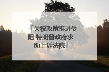 关税政策推进受阻 特朗普政府求助上诉法院