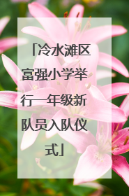 冷水滩区富强小学举行一年级新队员入队仪式