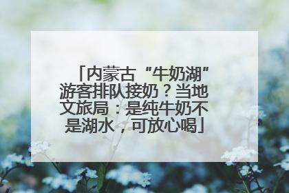 内蒙古“牛奶湖”游客排队接奶？当地文旅局：是纯牛奶不是湖水，可放心喝