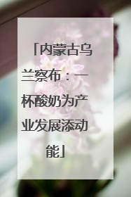 内蒙古乌兰察布：一杯酸奶为产业发展添动能